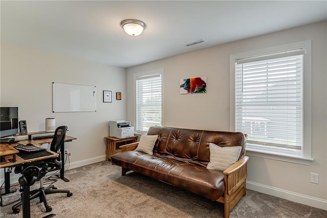 3609 Wesley Point Dr, Browns Summit, NC 27214 - office area with light colored carpet and baseboards
