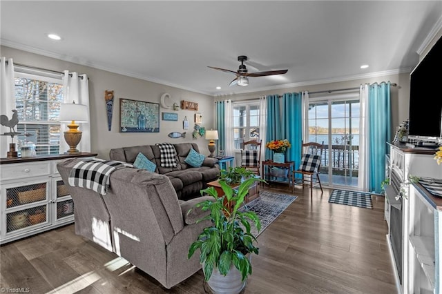 living room with dark hardwood / wood-style floors, ceiling fan, crown molding, and a wealth of natural light