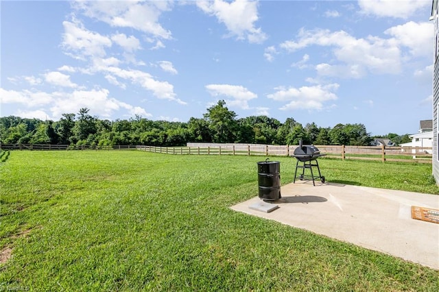 1026 Baileys Chapel Rd, Advance, NC 27006 - view of yard with a patio and a rural view