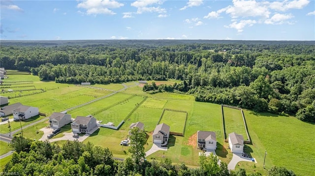 1026 Baileys Chapel Rd, Advance, NC 27006 - view of rural area featuring a heavily wooded area