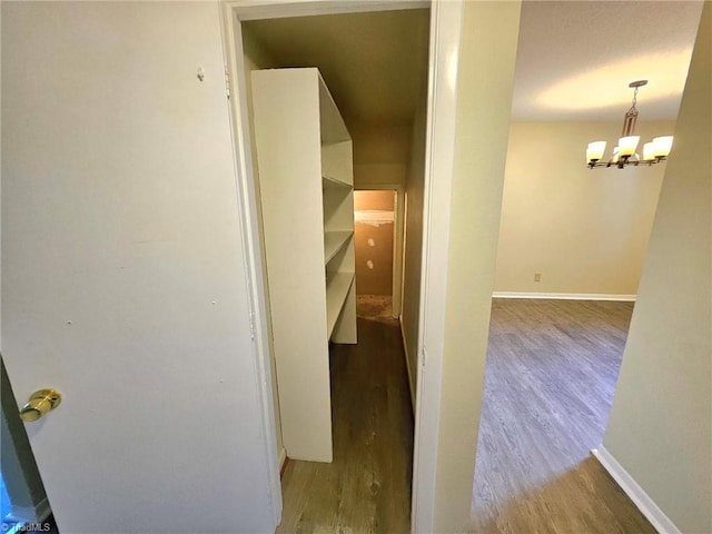 hall featuring a notable chandelier and hardwood / wood-style flooring