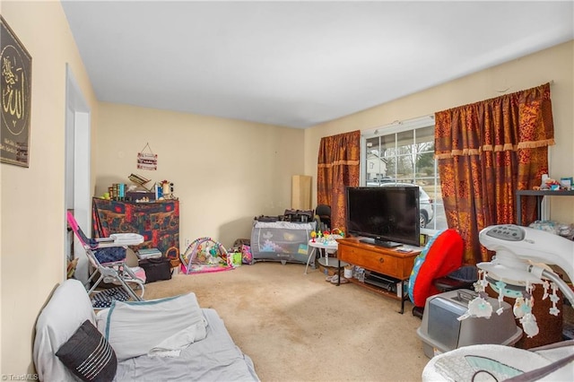 view of carpeted living area