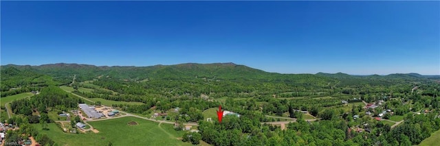 bird's eye view featuring a mountain view and a wooded view