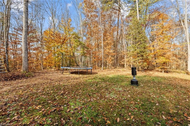 view of yard featuring a trampoline