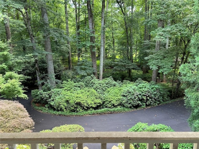 590 Knob View Dr, Winston-Salem, NC 27104 - view of yard with a wooded view