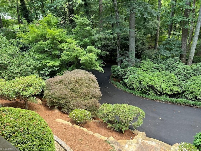 590 Knob View Dr, Winston-Salem, NC 27104 - view of yard