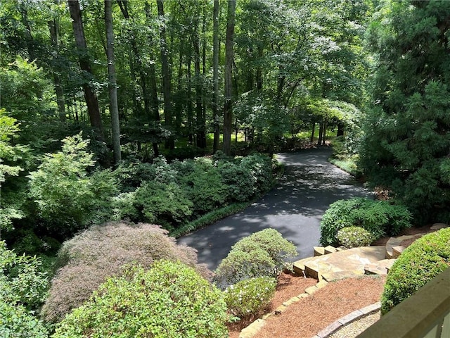 590 Knob View Dr, Winston-Salem, NC 27104 - view of community featuring a wooded view and driveway