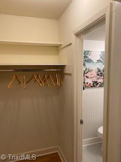 2920 Ramsgate Ct, Winston-Salem, NC 27106 - view of closet