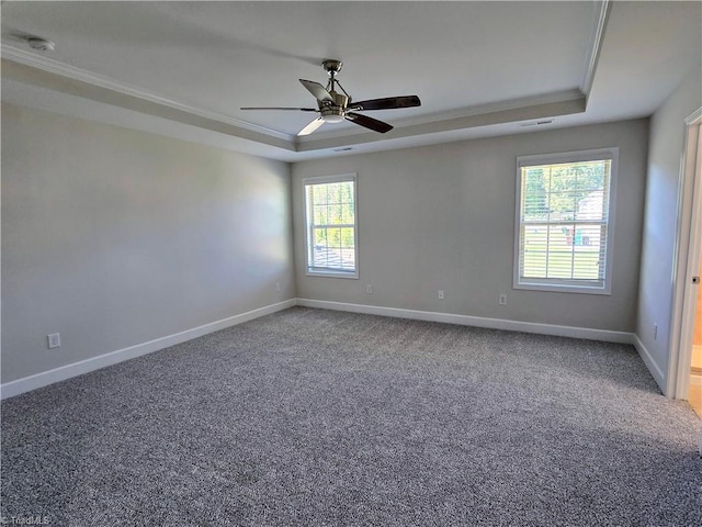 empty room featuring carpet flooring, a healthy amount of sunlight, and a raised ceiling