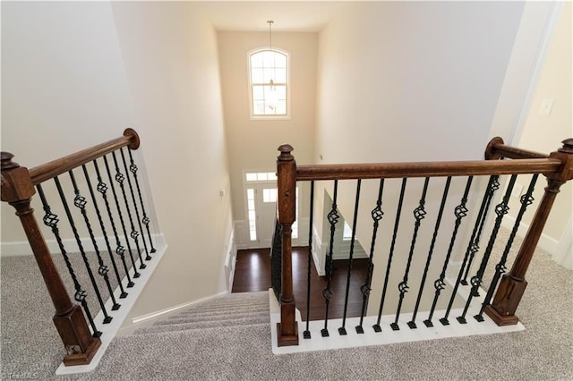 staircase featuring carpet