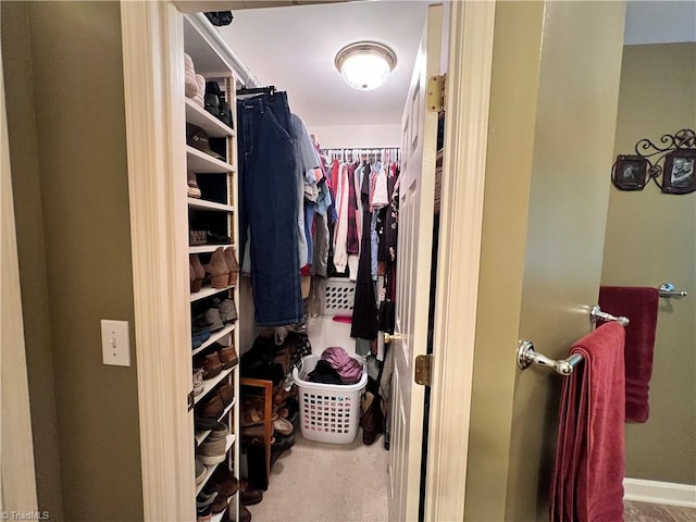 spacious closet featuring carpet floors