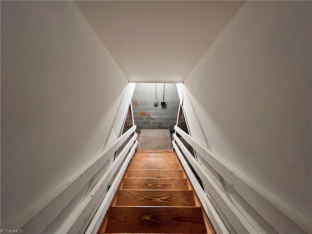 staircase with hardwood / wood-style floors