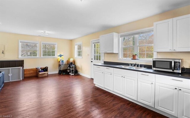 kitchen with dark countertops, stainless steel microwave, dark wood-style flooring, a healthy amount of sunlight, and a sink