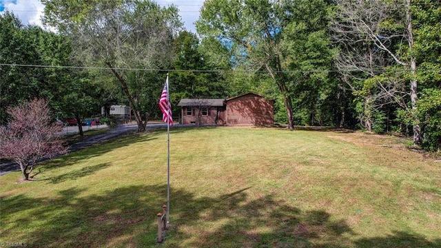 view of yard with a storage shed