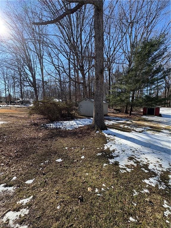 yard covered in snow with a storage unit