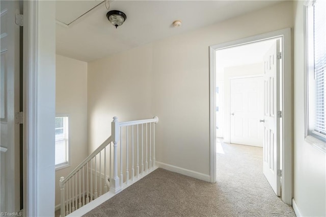 corridor featuring light colored carpet and a healthy amount of sunlight