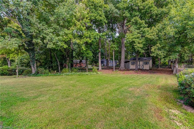 view of yard featuring a storage shed