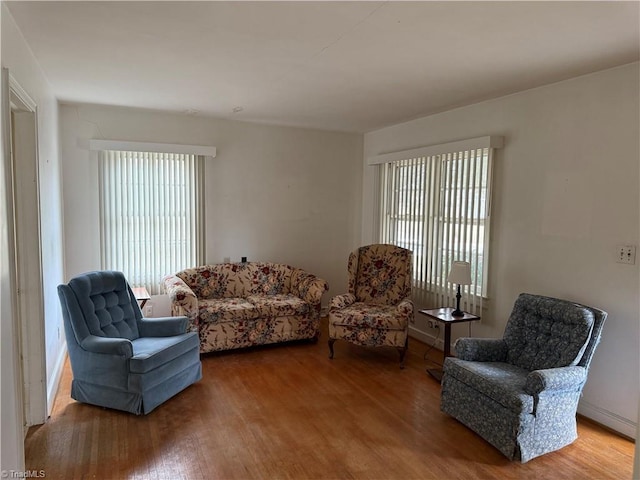 living room with hardwood / wood-style floors