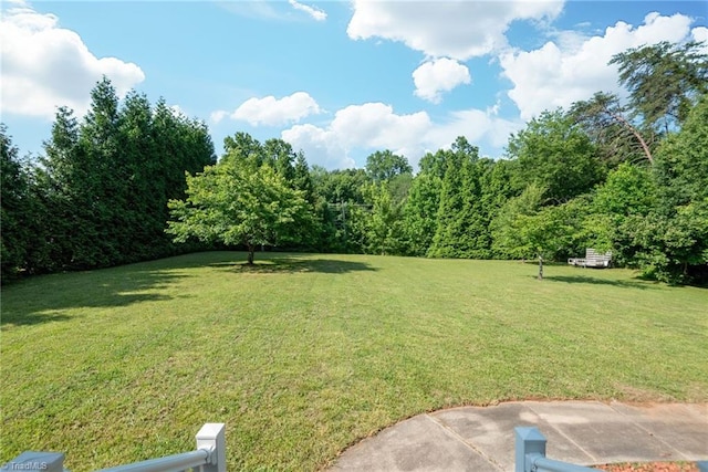 131 Hickory Creek Ct, Winston-Salem, NC 27107 - view of green lawn