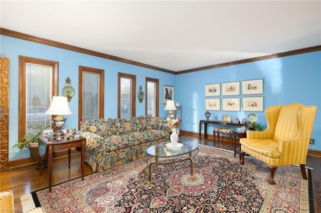 living room with crown molding and wood-type flooring