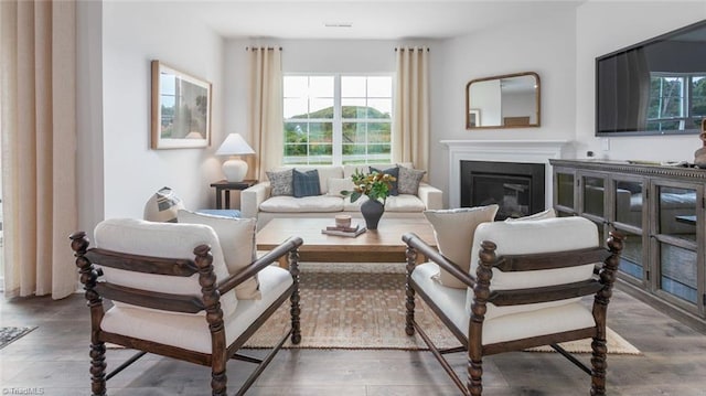 living room featuring dark hardwood / wood-style flooring