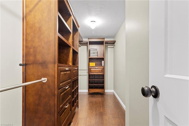 walk in closet with dark hardwood / wood-style flooring