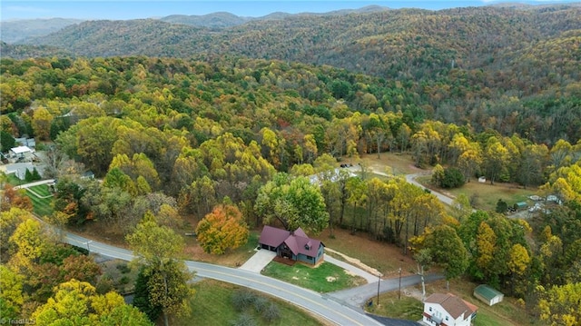 birds eye view of property featuring a mountain view