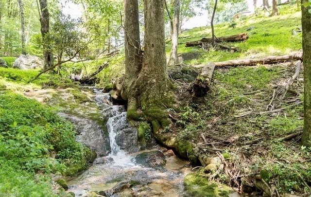 view of nature