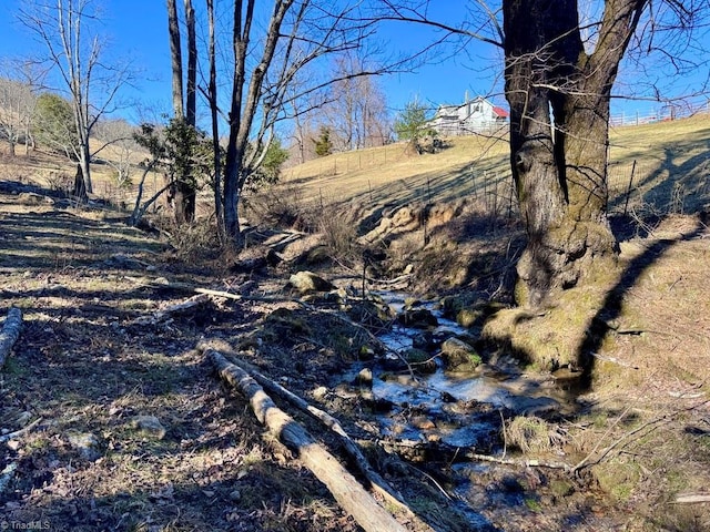 view of nature