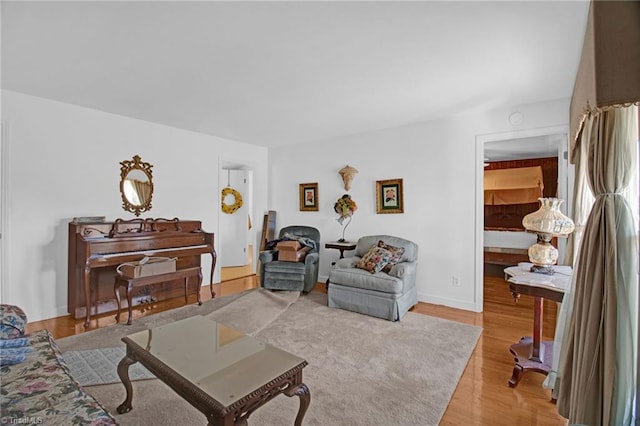 living room featuring hardwood / wood-style floors