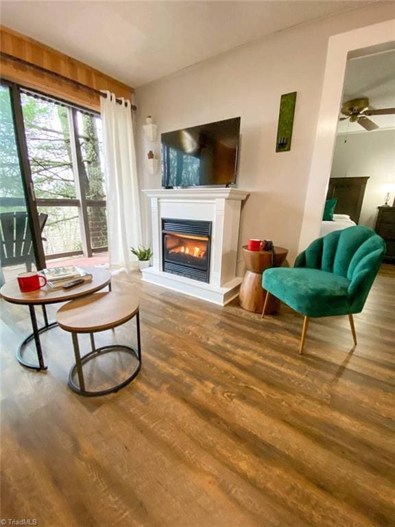 living area featuring a ceiling fan, a glass covered fireplace, and wood finished floors