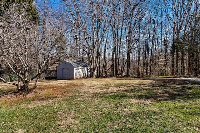 view of yard featuring an outbuilding and a storage unit