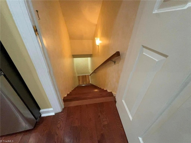 staircase featuring wood finished floors