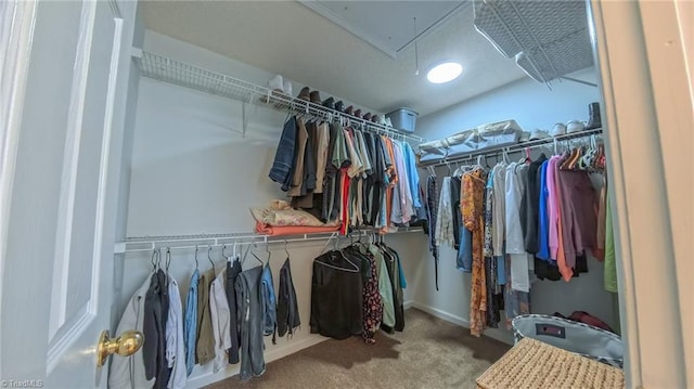 2309 Kasarda Dr, Greensboro, NC 27406 - walk in closet with attic access and carpet flooring