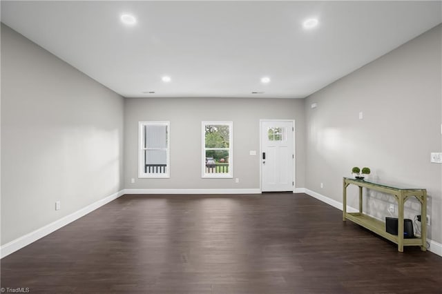 entrance foyer with dark wood-type flooring