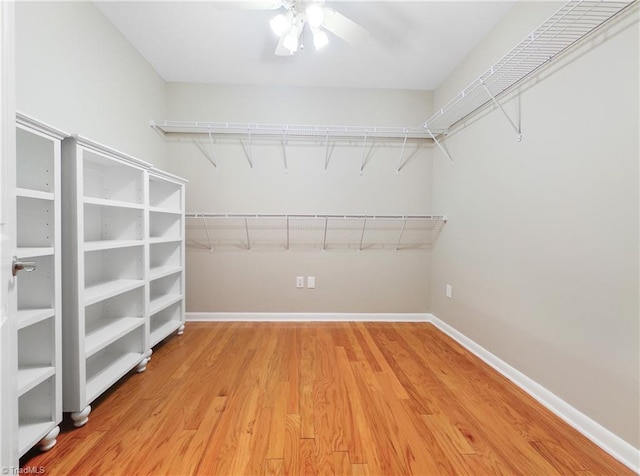 walk in closet with ceiling fan and light hardwood / wood-style flooring