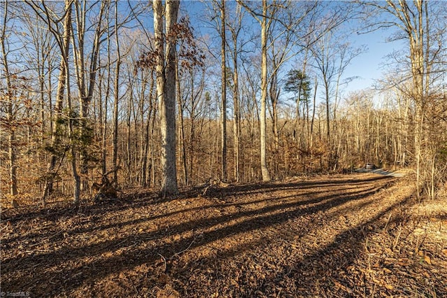 7607 Skippers Trce, Oak Ridge, NC 27310