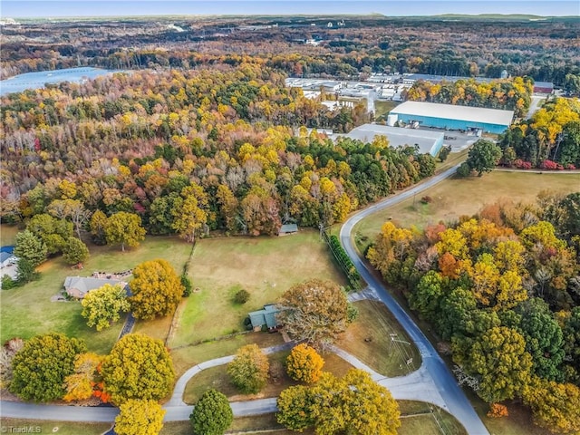 bird's eye view