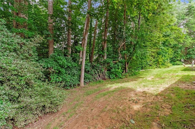 3114 Rockingham Rd, High Point, NC 27265 - view of grassy yard