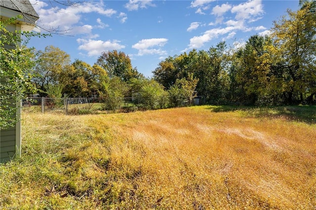 view of local wilderness