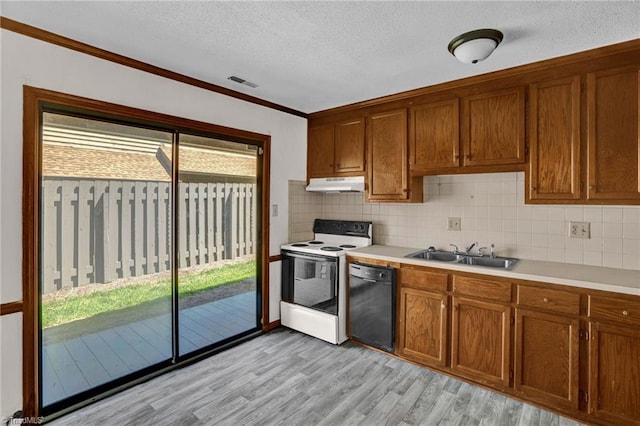 kitchen with plenty of natural light, white range with electric stovetop, light hardwood / wood-style flooring, and dishwasher