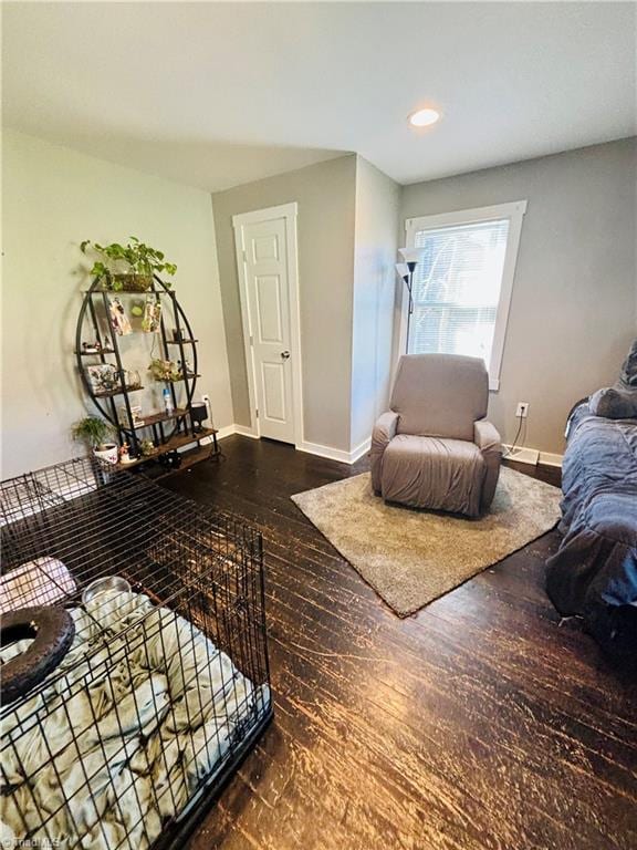 living room with dark wood-type flooring