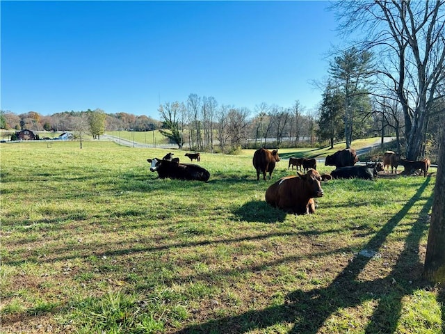 view of yard with a rural view