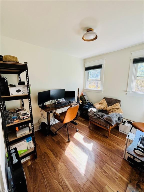 office area featuring a wealth of natural light and dark hardwood / wood-style floors