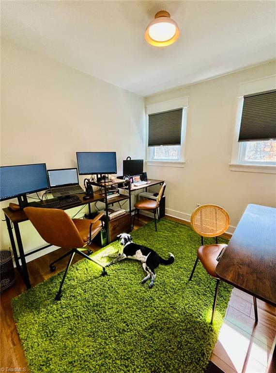 office space featuring hardwood / wood-style flooring