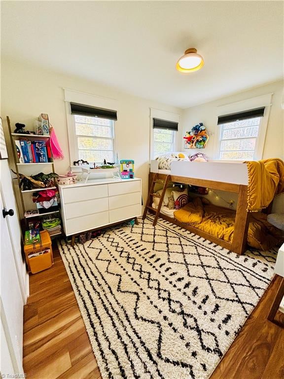 recreation room with hardwood / wood-style flooring and a wealth of natural light