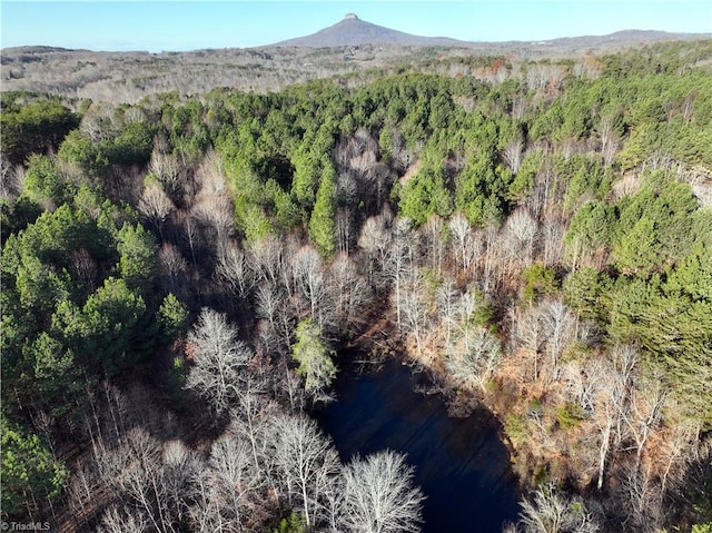 LOT1-0 Bowen Rd, Pinnacle, NC 27043