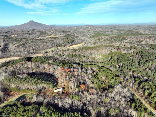 LOT1-0 Bowen Rd, Pinnacle, NC 27043