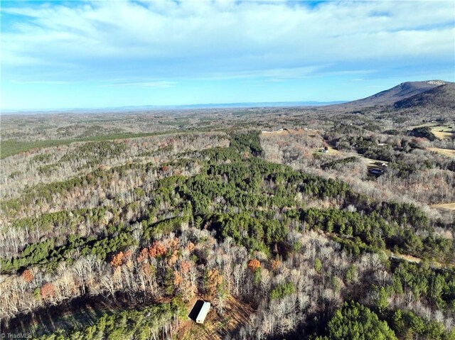 LOT1-0 Bowen Rd, Pinnacle, NC 27043