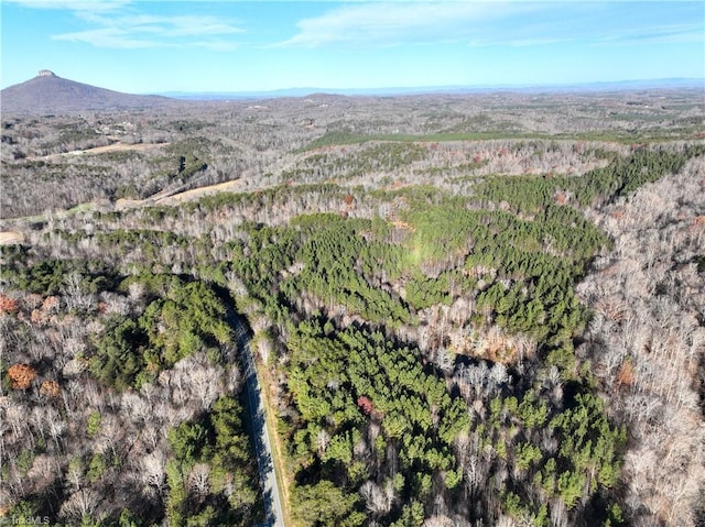 LOT1-0 Bowen Rd, Pinnacle, NC 27043